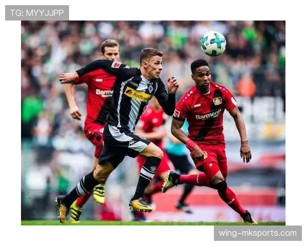 德甲球队转会策略解析：精明引援如何助力球队稳步崛起